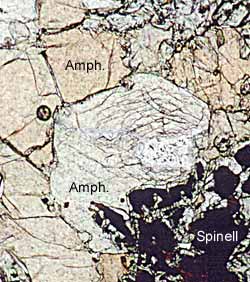 Amphibol-Spinell-Nest in Peridotit